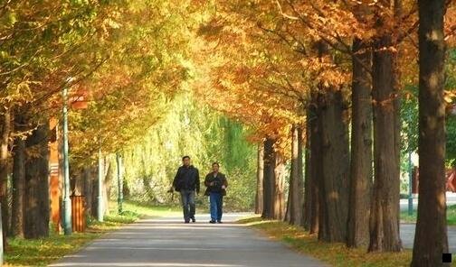 一粉象生活传销葳fxsh33赚钱