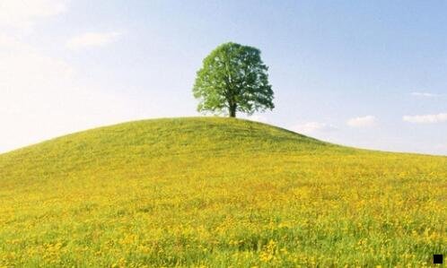 二粉象生活怎么自己注册邀请码