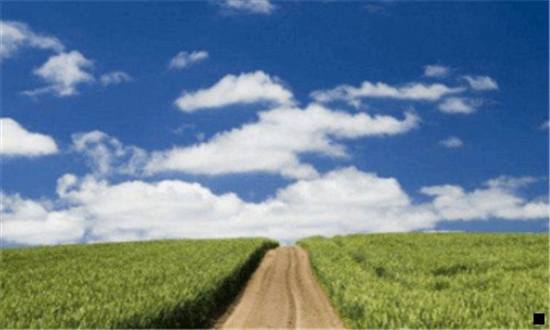 一粉象生活优惠卷真的假的