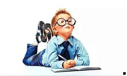 一豆豆粮票跟粉象哪个好