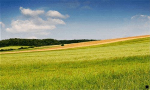 三粉象生活到底靠谱吗