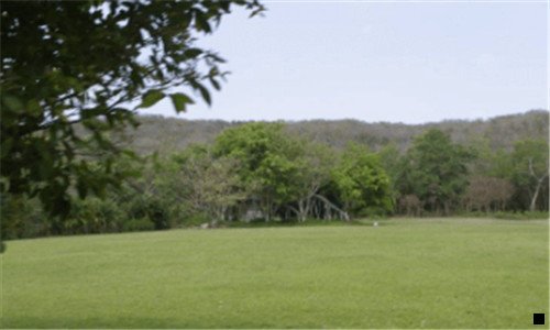 一粉象生活和买手妈妈是同个吗