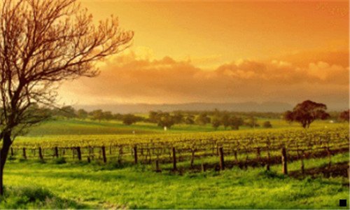 二象印粉色保温杯