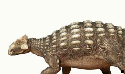 二掌上生活物流信息