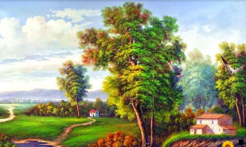 三粉象怎么换邀请码