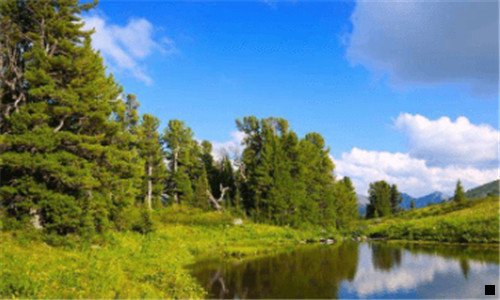 二象印红胖子盖子松了