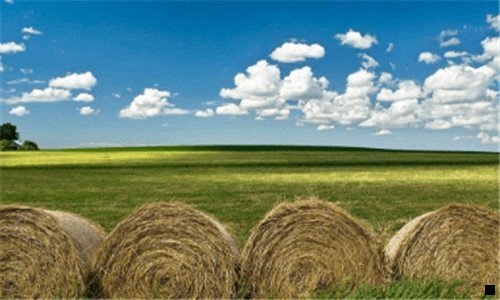 一粉象生活vs蜜源