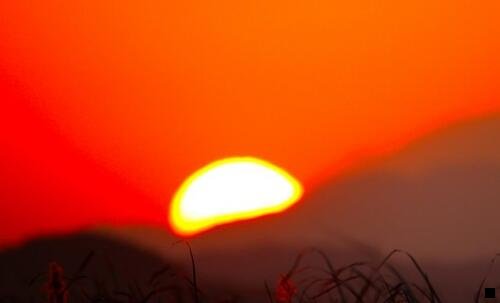 三粉象生活东西是不是真的