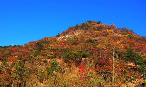 三粉象生活怎么看上级邀请码