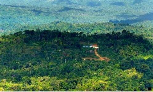 一粉象生活是正品吗