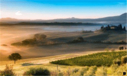 一女性杀手之粉象给劲樱桃啤酒