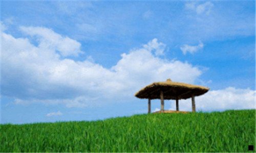 一粉象生活合伙人好处