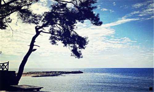 一享橙和粉象哪个好