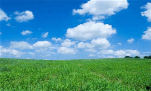 三粉象公司地址