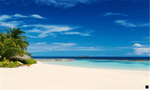 一粉象博物馆讲解