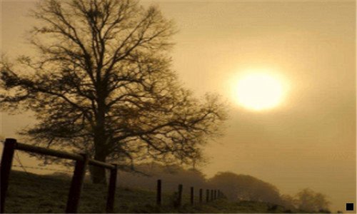 一粉象生活平台购物视频