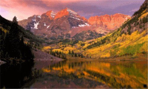 三麦穗花语是什么