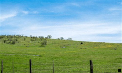 一粉象生活可以改头像吗