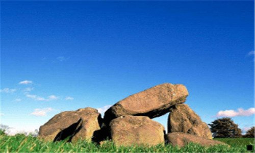 二粉象啤酒哪个颜色好喝