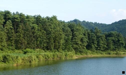 三公司本部与公司总部
