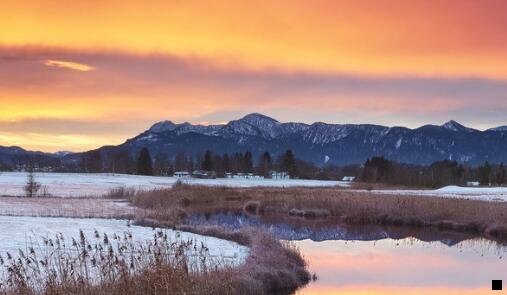 一西安粉象科技有限公司