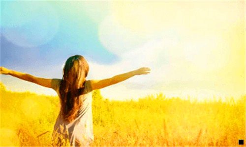 二比利时浅粉象啤酒好喝吗