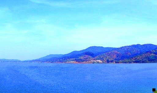 三芝麻鲸选没消息了