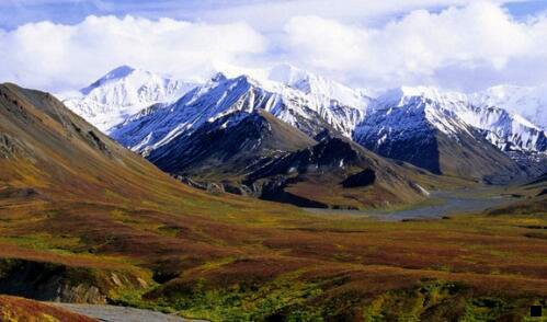 三粉象是阿里巴巴的嘛