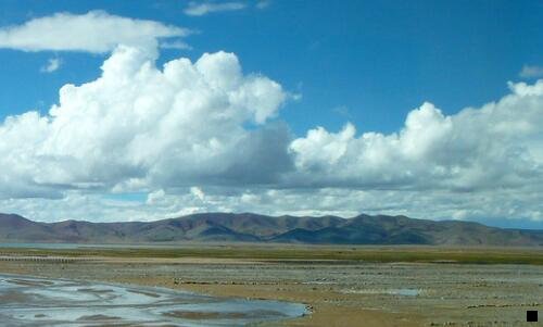 三一瓶就断片的酒叫什么